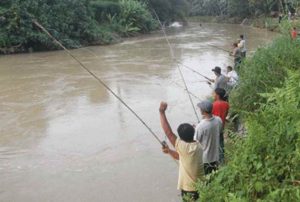 3 Tanda Manakala Umpan Kita Disambar Ikan