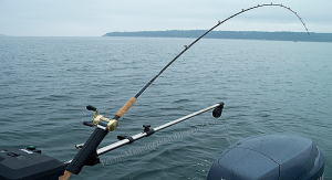 Mengenal Teknik Mancing Trolling dan Piranti Pendukungnya