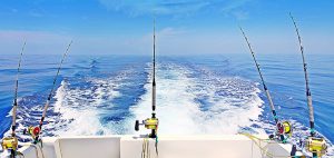 Cocok Untuk Dipakaikan Benang PE