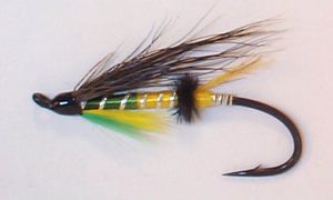 Memilih Tackle Fly Fishing