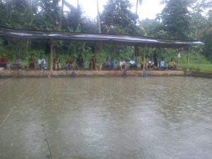 Jenis-Jenis Empang untuk Mancing