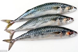 Jenis-jenis Ikan yang Perlu Diwaspadai bila akan dikonsumsi