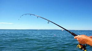 Persiapan Untuk Memancing di Laut