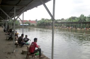 Sukses Mancing Galatama Patin