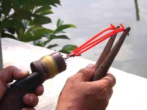 Teknik Tradisional Berburu Ikan Menggunakan Ketapel