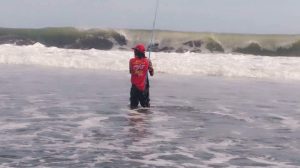 Teknik mancing pasiran dengan cara ngoyor