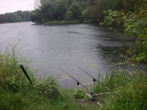 Tips Dan Trik Memancing Ikan Di Sungai