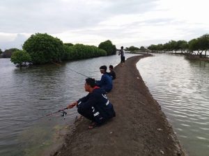 Umpan Jaruh Paling Ngaruh