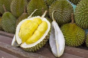 Umpan Mancing Ikan Tombro Menggunakan Buah Durian