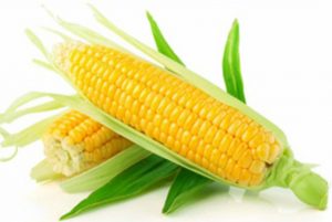 Umpan Mancing Ikan Tombro Menggunakan Jagung Manis