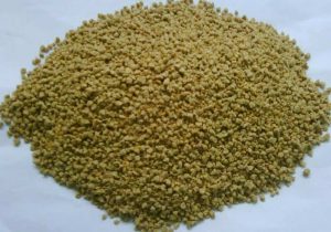 Umpan ikan Tombro Menggunakan pur Ayam