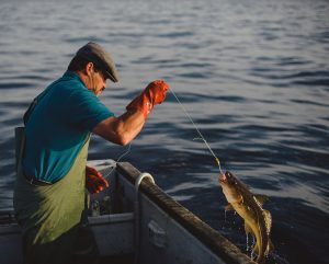 Apa itu Handline Fishing