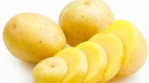 Umpan Ikan Nilem Menggunakan Kentang