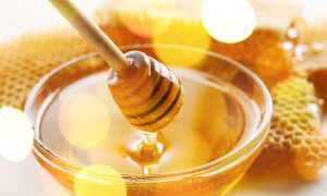 Umpan Ikan Patin Menggunakan Madu Dan Kuning Telur