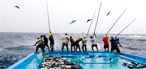 Mancing Tradisional ala Maluku Utara