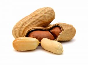 Umpan gt Bawal kacang sangrai