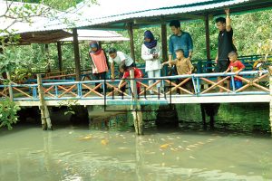 Spot Mancing di Rawa Mangun