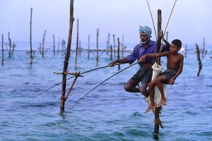 Teknik memancing unik dari Sri Lanka