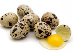 Umpan ikan nilem menggunakan telur puyuh