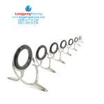 Ring Guide BTSG Curve