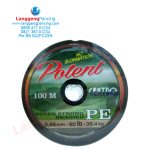 PE Centro Potent 100m