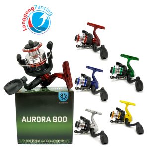 Reel Aurora 800