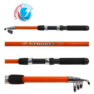 Joran Pancing Grouper