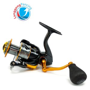 Reel Hinomiya Asteroid